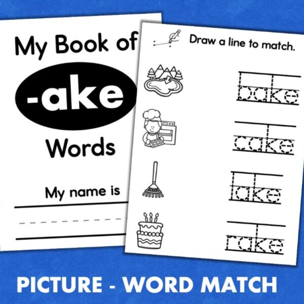 Silent E CVCe Word Families Phonics Mini Books