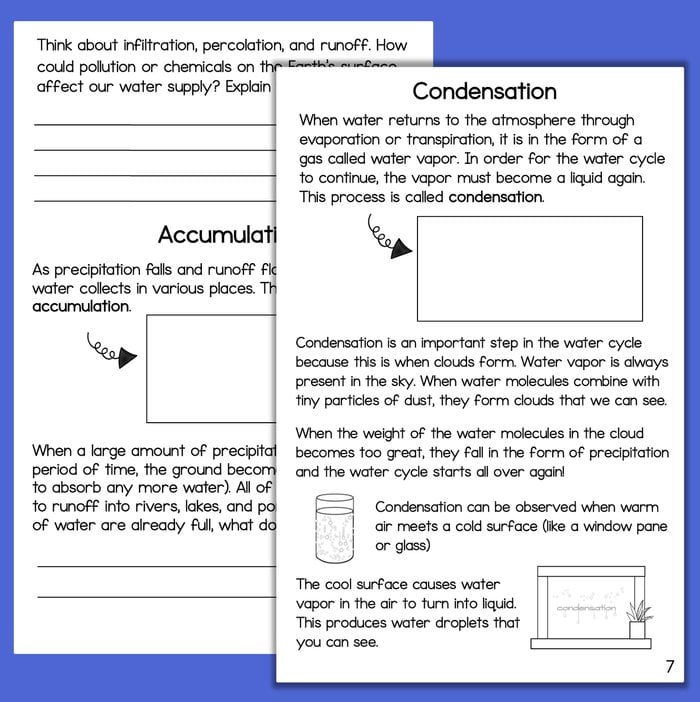 The Water Cycle Interactive Science Booklet and Vocabulary Crossword