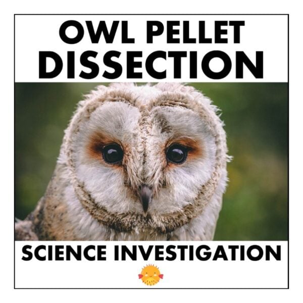 Pellet Science Dissecting Owl Pellets Lesson: A Fascinating Science Investigation