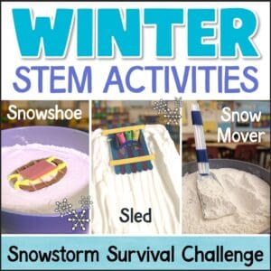 winter stem challenges