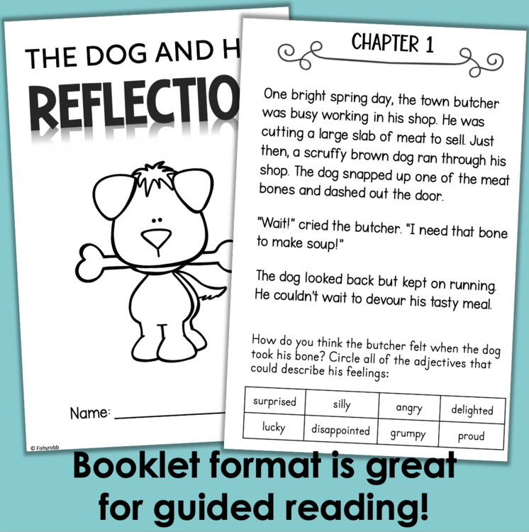 Dog and His Reflection guided reading booklet 3345557 for elementary intervention literacy centers