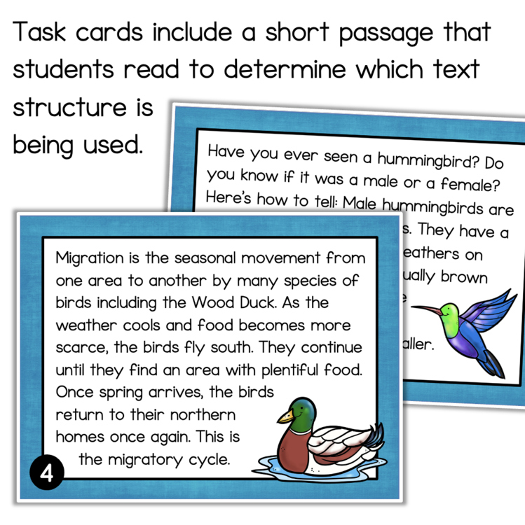 Text structure task cards e8f45eb0 large set 1094267 for elementary intervention reading passages